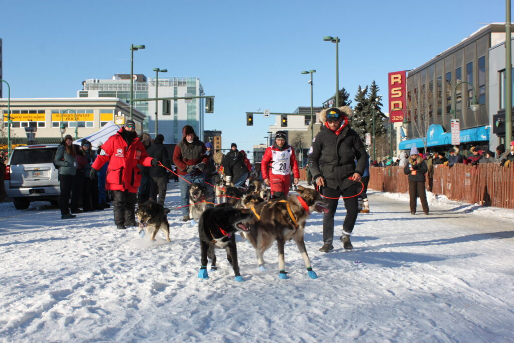Jason and his team travel to the start line at the ceremonial start of the Iditarod 2023 in Anchorage