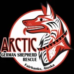 Arctic german shepherd rescue