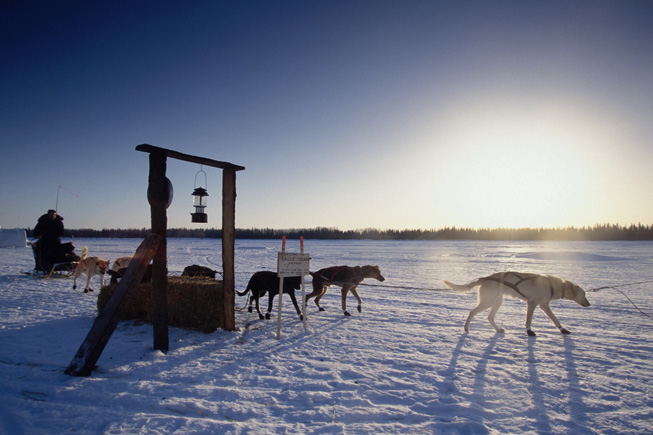 Iditarod checkpoint Jason Mackey Eagle Island