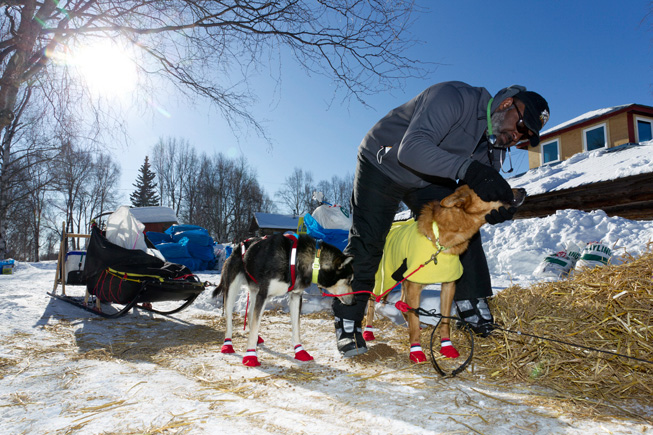 Iditarod checkpoint Jason Mackey Grayling