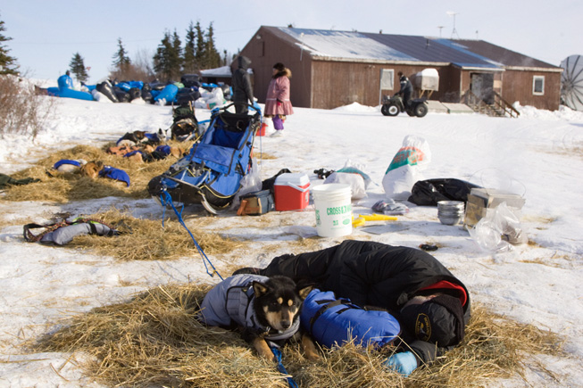 Iditarod checkpoint Jason Mackey Koyuk