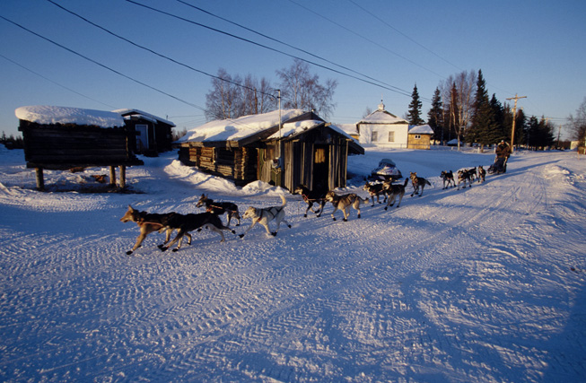 Iditarod checkpoint Jason Mackey Nikolai